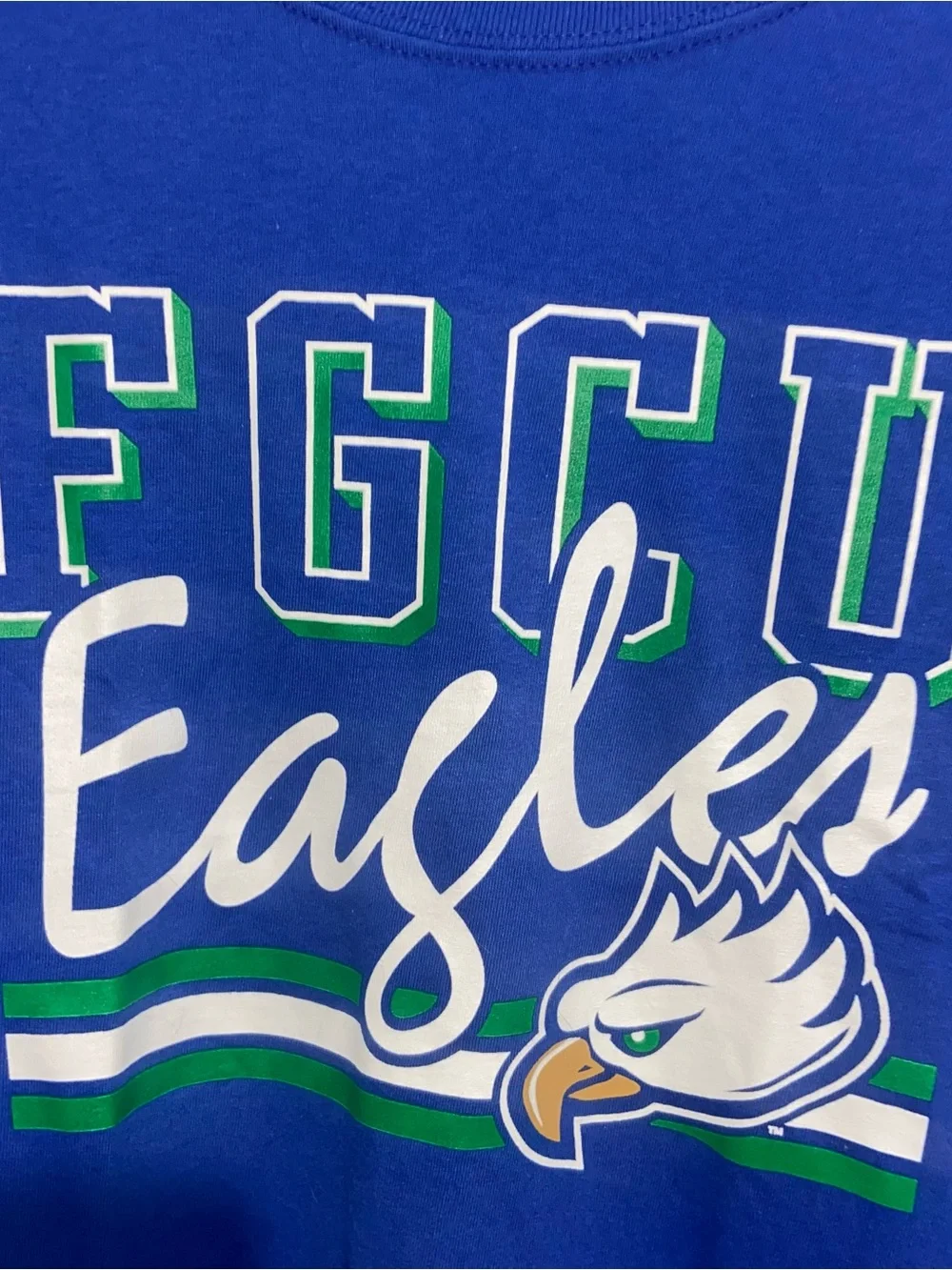 Champion Shirt Mens Large Florida Gulf Coast FGCU Eagles Blue Short Sleeve - Picture 5 of 12